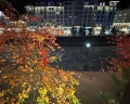 Park Inn Radisson Роза Хутор: отзыв от AdventureX