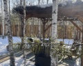 Wood place: отзыв от Алена Ильина