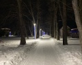 Шахтер: отзыв от Полина П