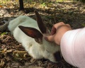 Polyana Glamping: отзыв от Александра Ом