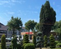 Grand Hotel&SPA Прибой: отзыв от Мария Бородина