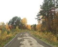 У плотника: отзыв от Ульяна Б.
