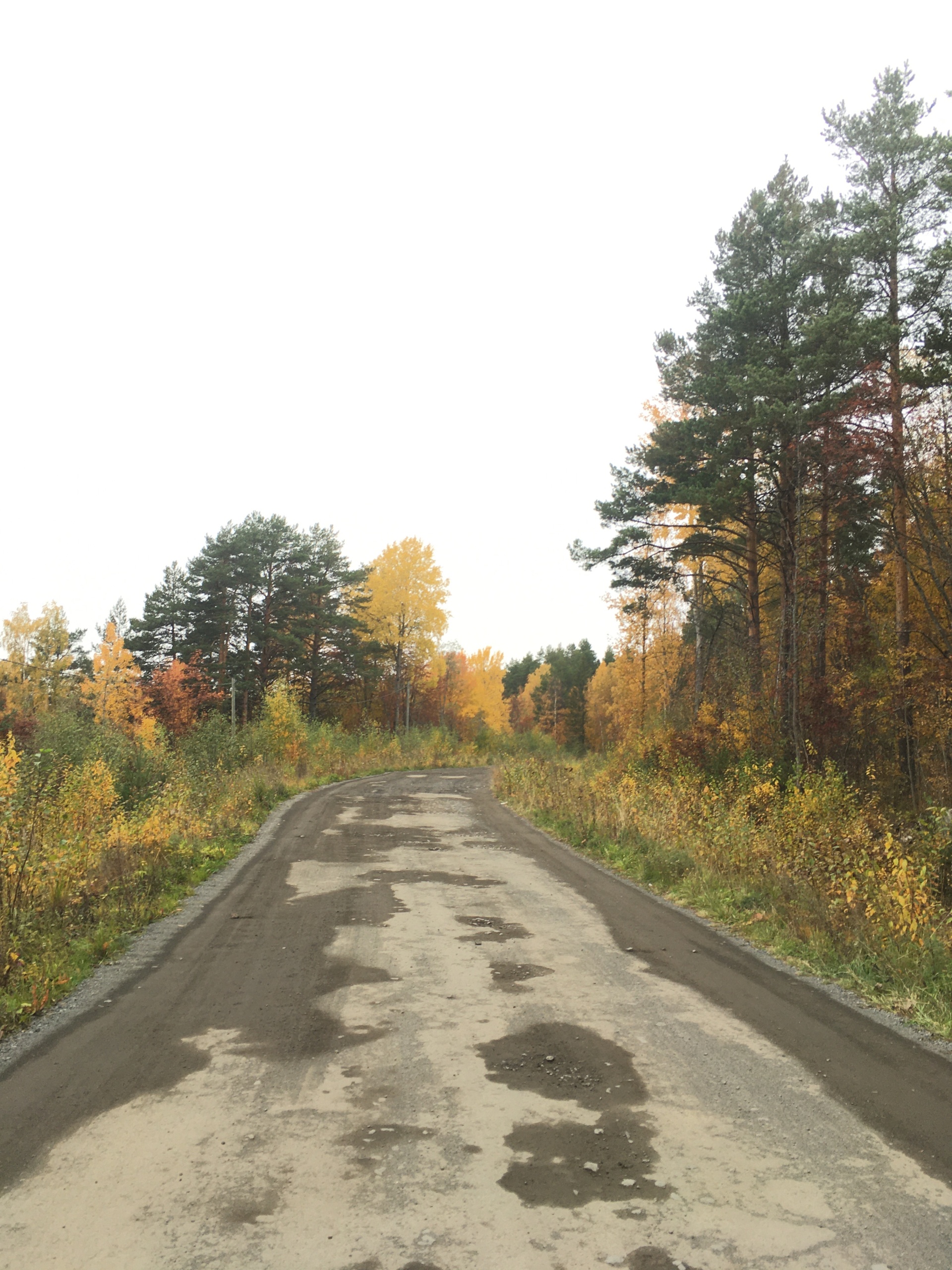 У плотника, база отдыха, Солнечная улица, 1/1, д. Мережнаволок — 2ГИС