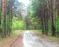 Лазурный: отзыв от Андрей Еремеев