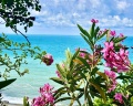 Villa Esenin: отзыв от Sberid User