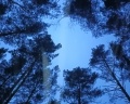 Тишина: отзыв от Rus Sam