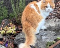 108 желаний на Алтае: отзыв от Алексей Докин