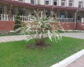 Корона Алтая: отзыв от Софья Садыкова