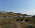 Альфа: отзыв от Анастасия Ивлева