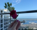 Mantera Resort&Congress: отзыв от Eliza Umaeva