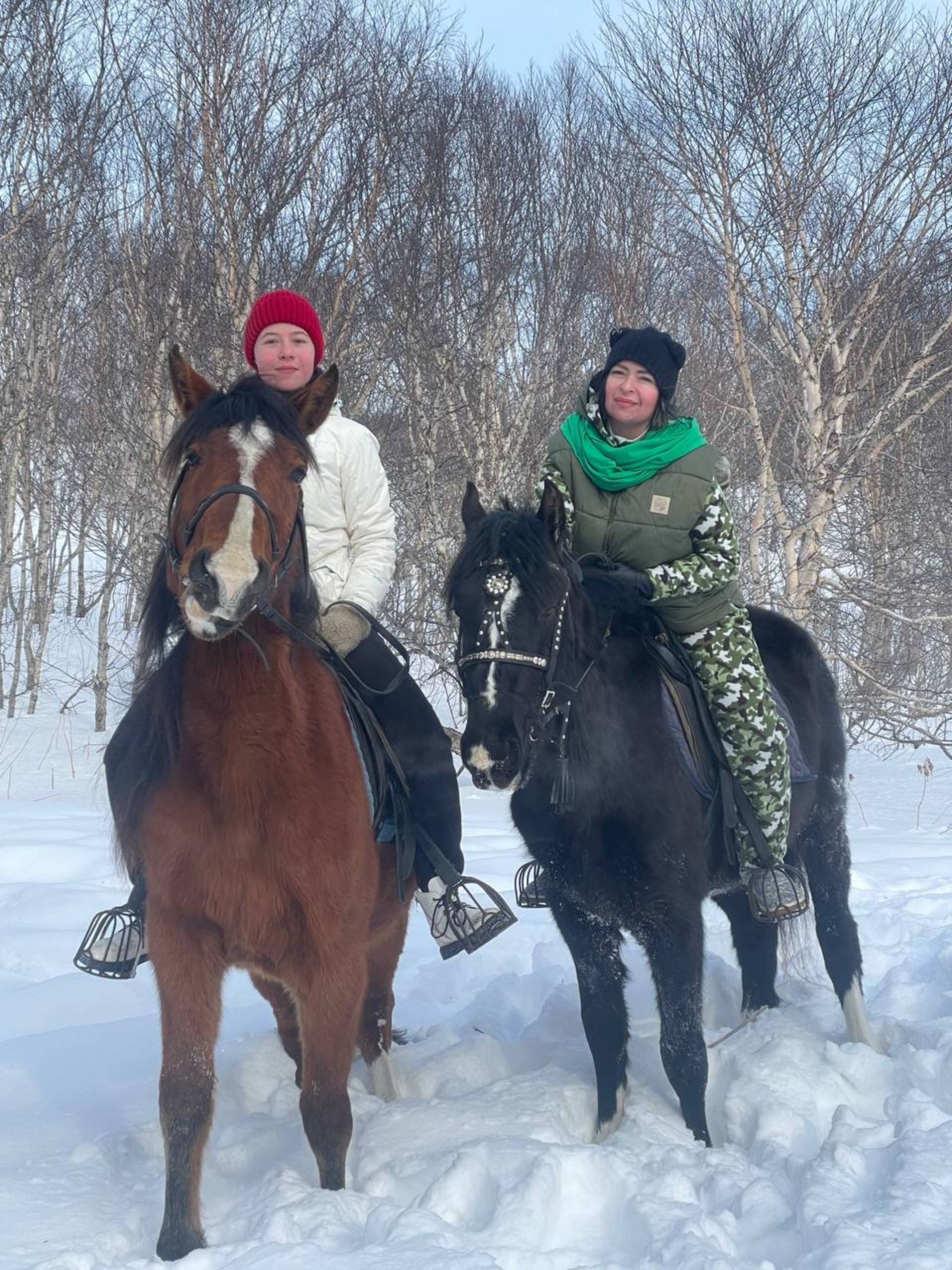 Донской, конный клуб, Кирпичная, 38а, Петропавловск-Камчатский — 2ГИС