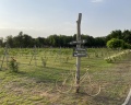 Deer farm: отзыв от Вера Данова