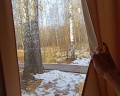 White Wood: отзыв от Светлана Пупялене