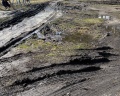 Парк «Место встречи»: отзыв от Наталия Халикина