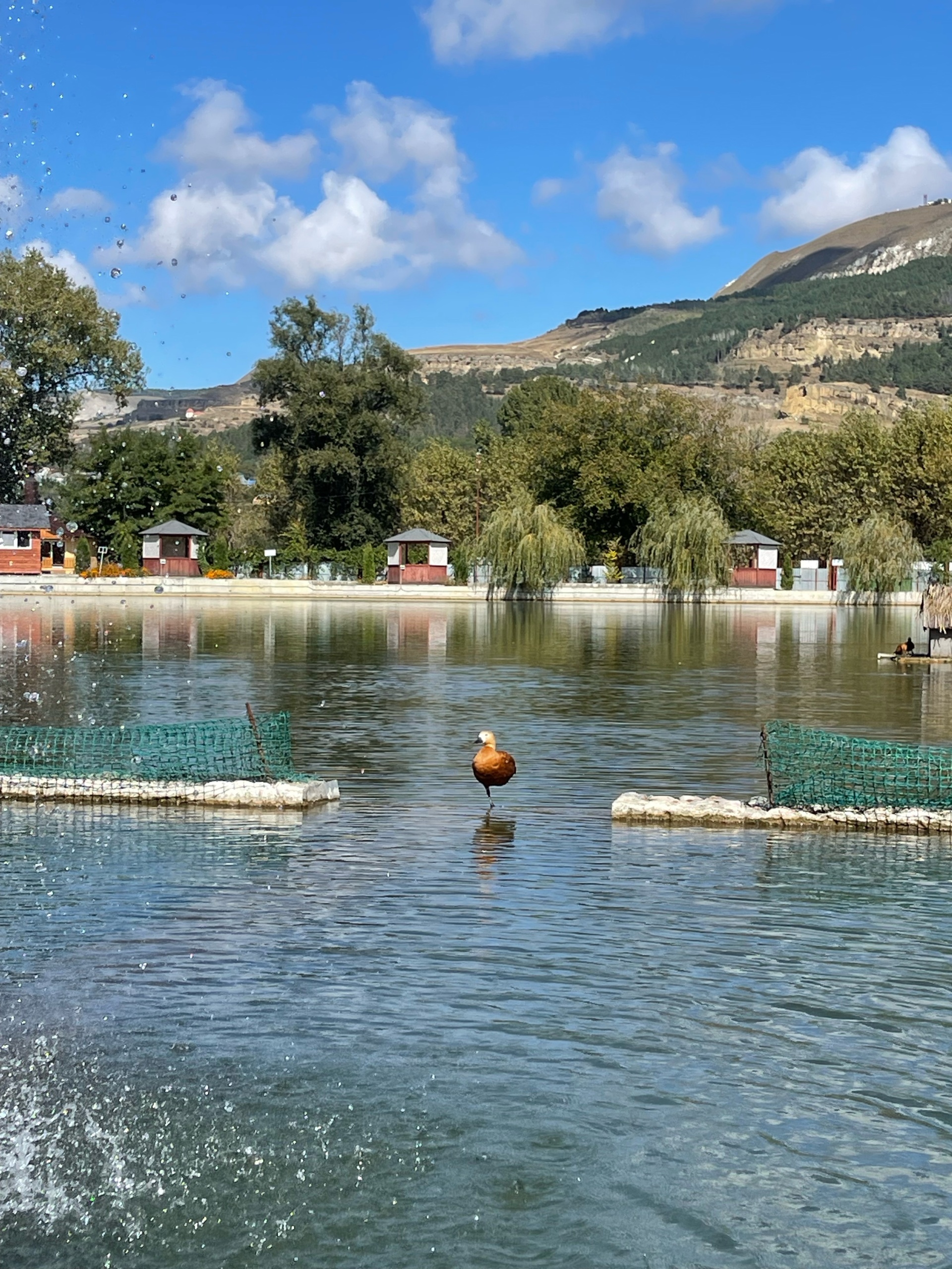 Golden Fish, база отдыха, Форелевое хозяйство, Кисловодск, Кисловодск — 2ГИС