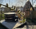 Shapkin Glamping: отзыв от Ксения П