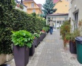 Palma park: отзыв от Галина Грачева