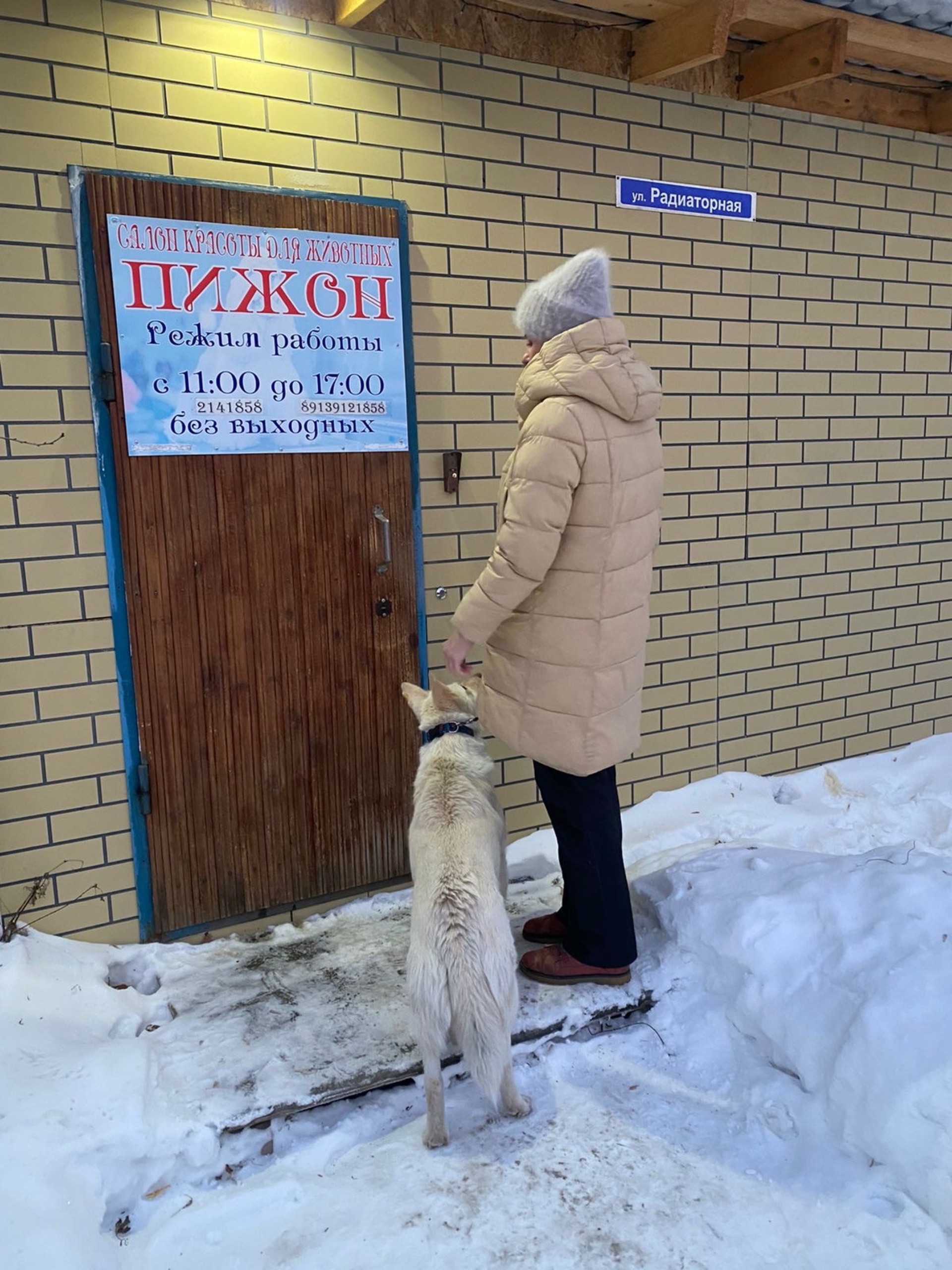 Пижон, салон красоты для животных, Столбовая, 4, Новосибирск — 2ГИС