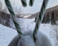 Панорамный: отзыв от Дмитрий Цветков