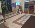 Yarhotel centre: отзыв от Павел Кольцов