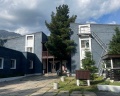 Подснежник: отзыв от Ульяна