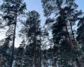 Таналтай: отзыв от Олеся Шеланкова