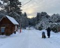 Иволга: отзыв от Анна Фролова
