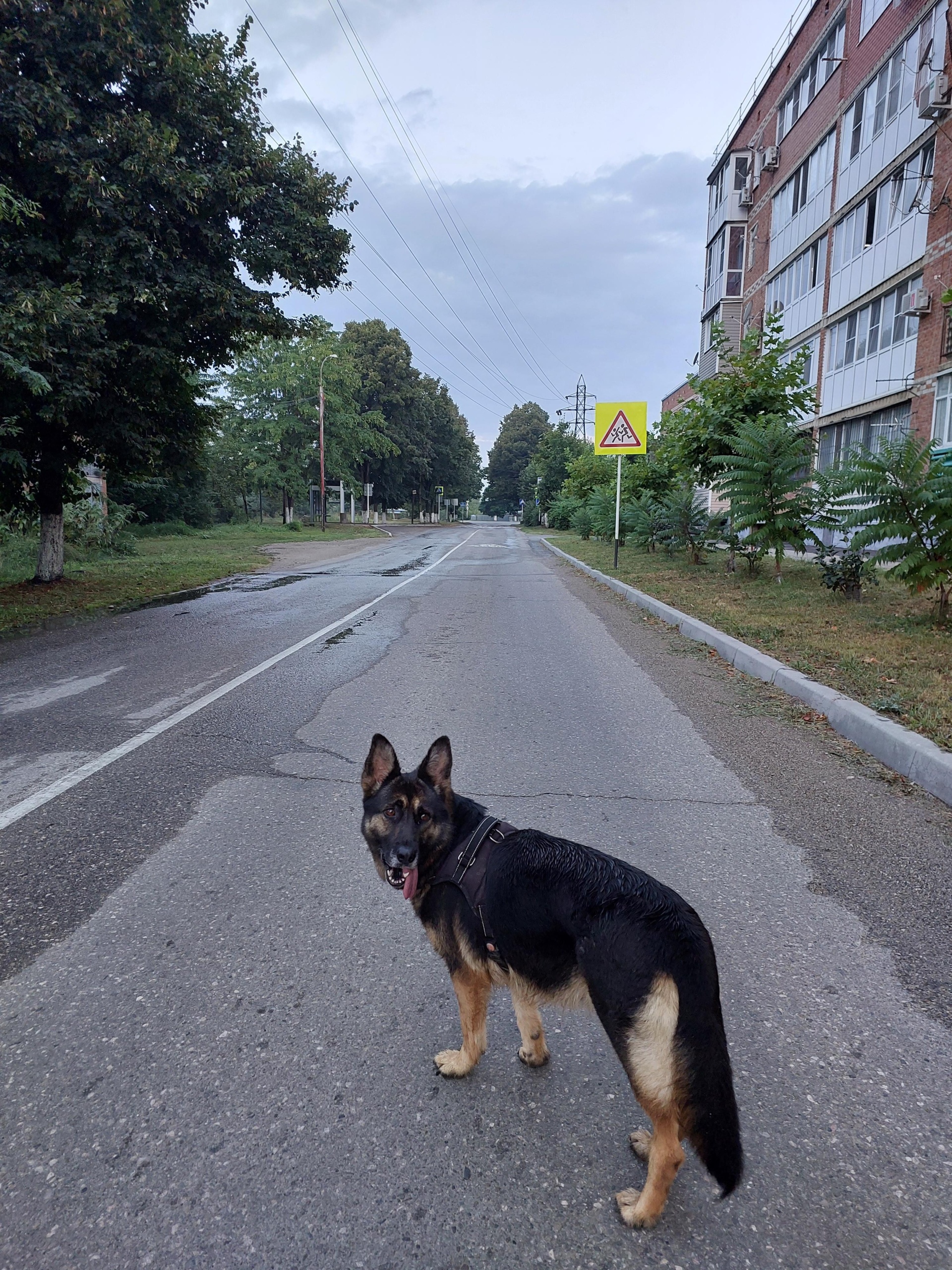 Апшеронск: карта с улицами, домами и организациями города — 2ГИС