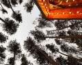 Шелест Inn: отзыв от Наталья Коваль