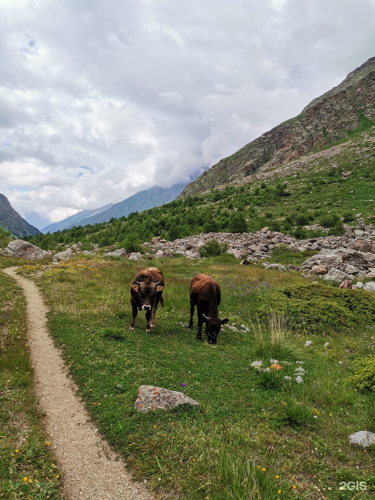 Travelling Kbr, Кабардинская улица, 17, Нальчик — 2ГИС