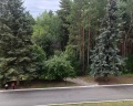 Самоцвет: отзыв от Ильгизяр Абдулин