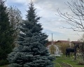 Сар-Герел Алтая: отзыв от L D