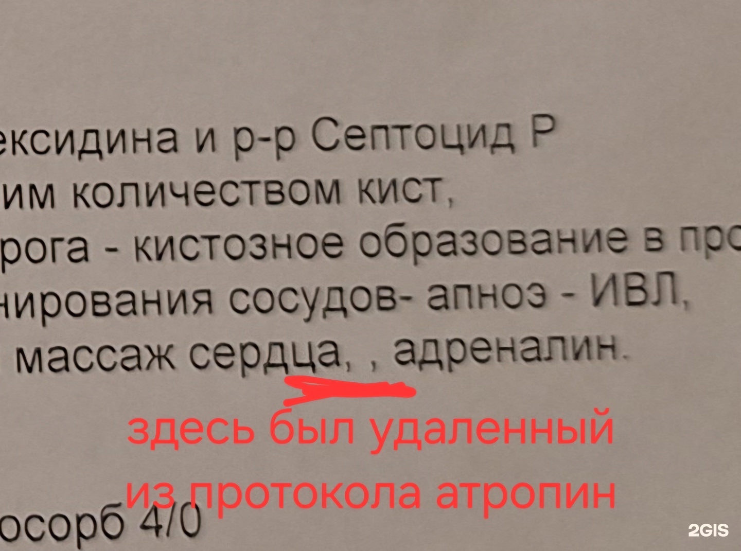 БКВет, ветеринарная клиника, Нарвская, 60, Калининград — 2ГИС