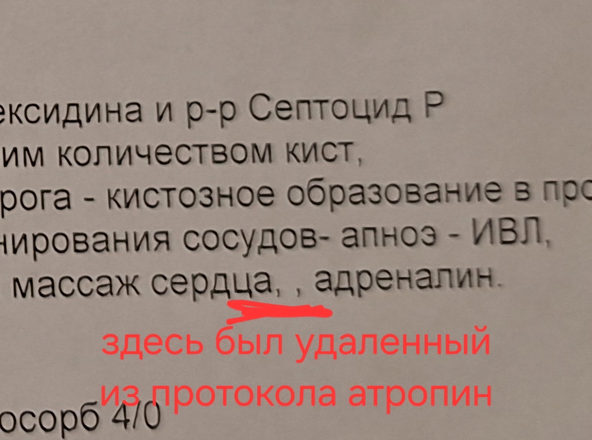 БКВет, ветеринарная клиника, Нарвская, 60, Калининград — 2ГИС