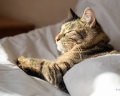 Ной: отзыв от ANDREY ANDREY