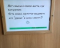 Кедровый Дом Кочиевских: отзыв от Светлана Белкина