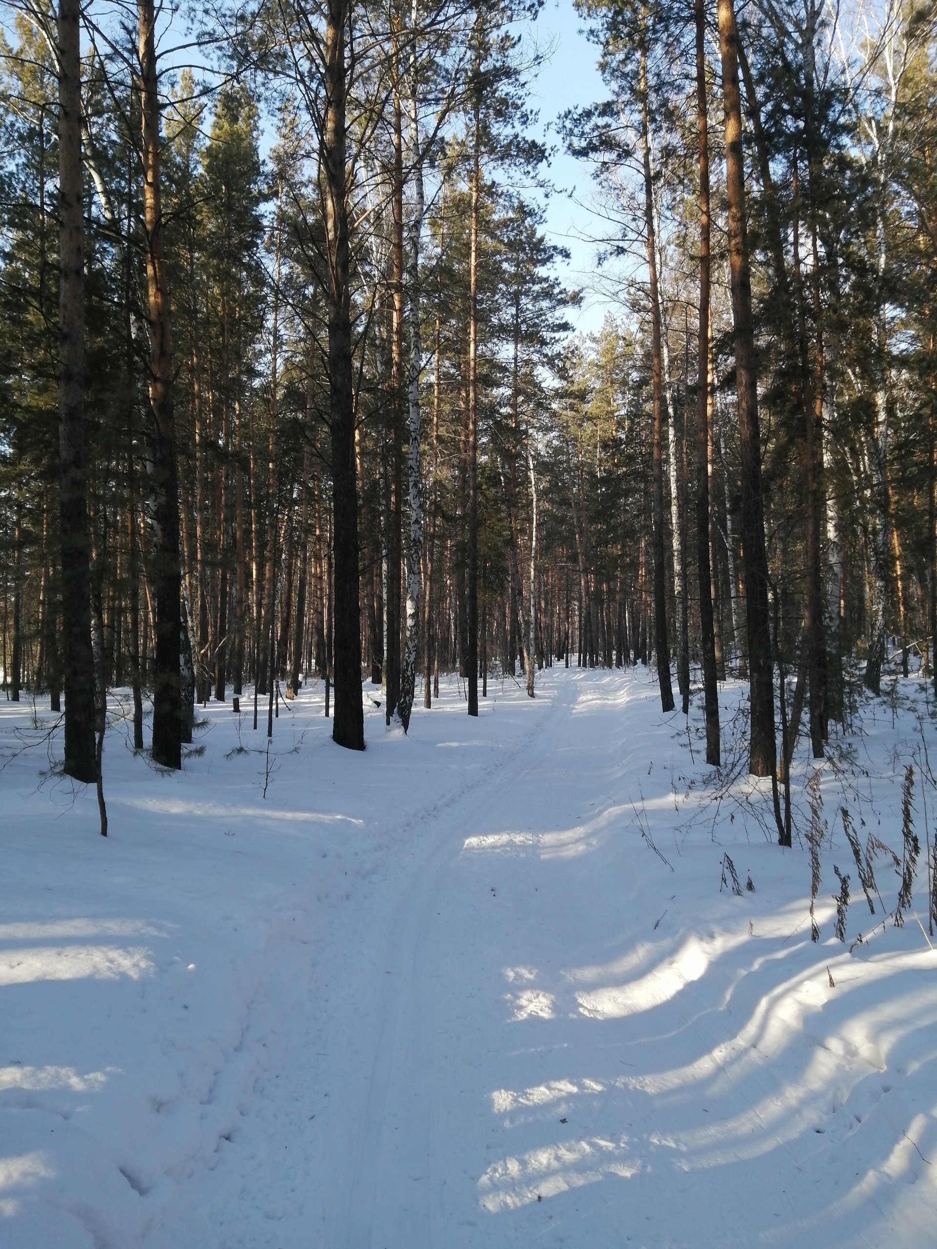 Энергия, база активного отдыха, улица Шукшина, 5 к3, с. Зудилово — 2ГИС