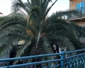Фрегат-2 by Viva Hotels Group: отзыв от Алина Дворник