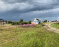 Kovcheg 51: отзыв от Мария Н
