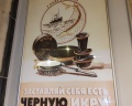 Руссо туристо: отзыв от Инна Литвиненко