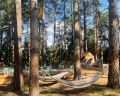 Orsha River Club: отзыв от Олеся Степанова