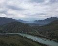 Сова: отзыв от Лена Николаева