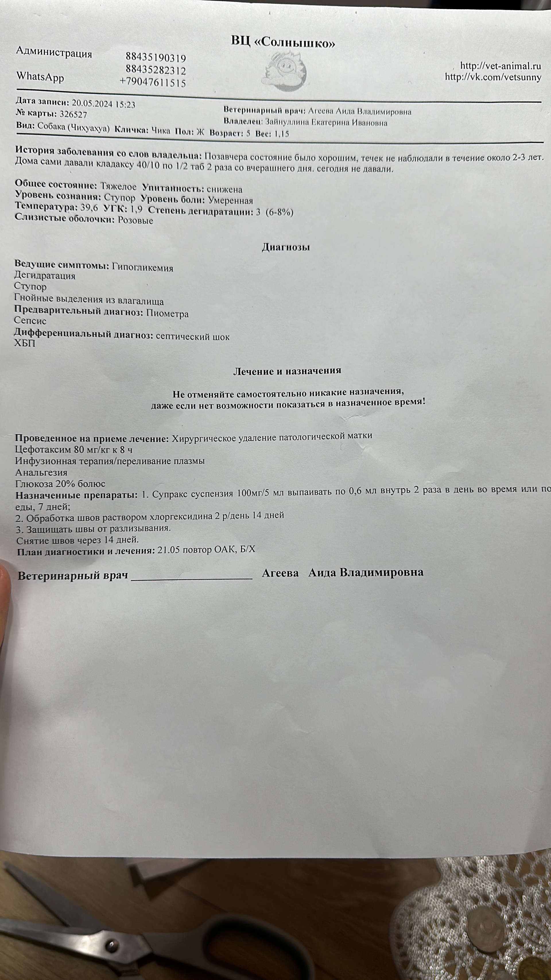 Солнышко, ветеринарный центр, БЦ Солнышко, улица Восстания, 8а, Казань —  2ГИС