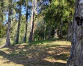 Vyritsa Village: отзыв от Татьяна Тихая