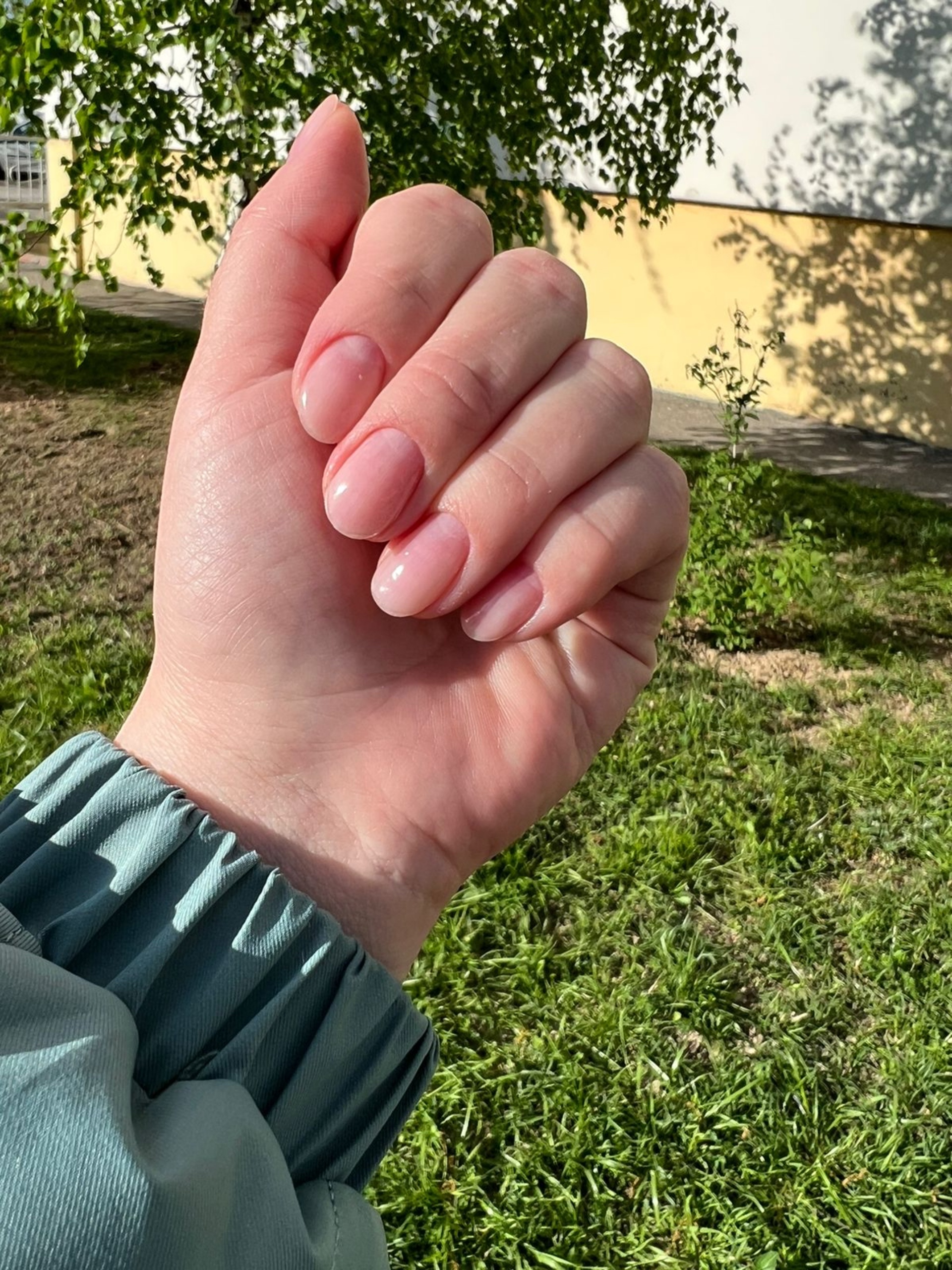 Fox nails, студия красоты, 65 лет Победы, 27 к1, Калуга — 2ГИС