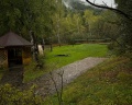 Forest Trail: отзыв от Евгения Абулгазиева