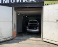 Золотая рыбка: отзыв от Александр Иванов