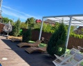 Green House: отзыв от Девушка Девушка