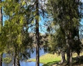 Vyritsa Village: отзыв от Анастасия Ц.