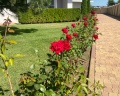 Villaggio: отзыв от Маргарита Петрунина